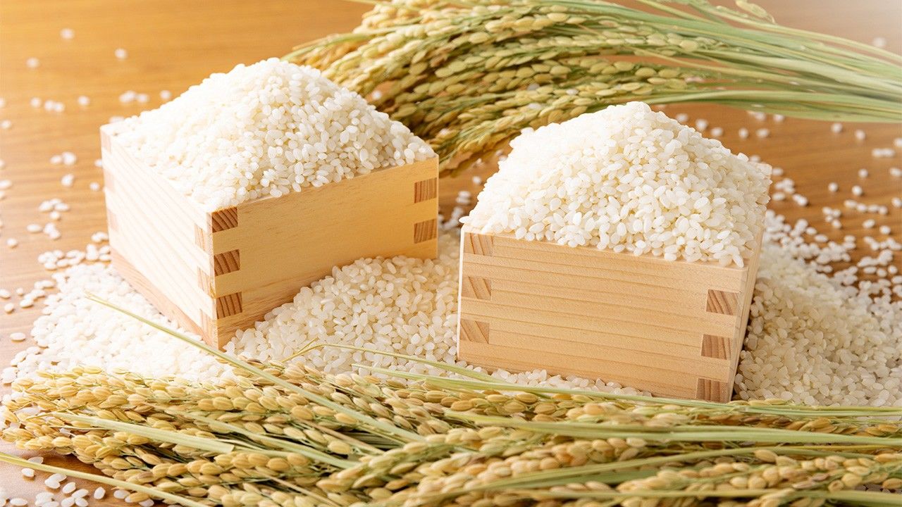 Gạo là nguồn lương thực chính của Nhật Bản gao-nhat-ban